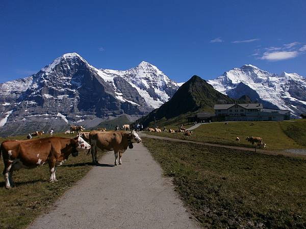 メンリッヒェン